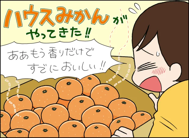 甘い香りとあふれる果汁！ハウスみかんのおいしさに食べる手が止まらない