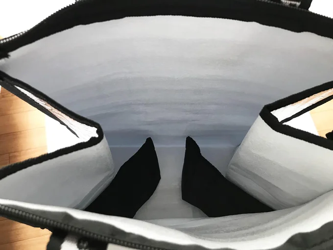 中を見ると、何やらあやしげ?な黒いものが…