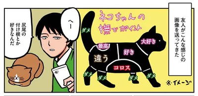 猫にはなでポイントがある？