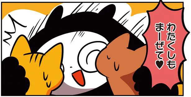 猫のケンカはこう止める　猫パン日記2(4)