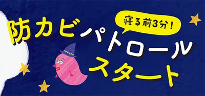 寝る前3分の「防カビパトロール」スタート！