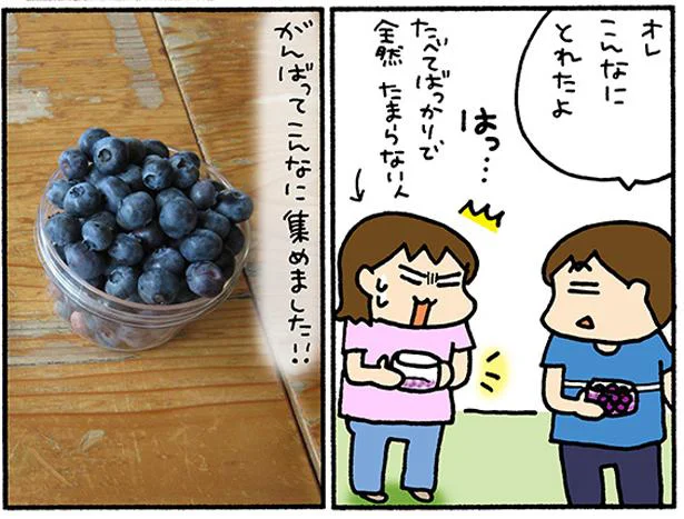 食べてばかりでちっともブルーベリーが狩れない人も…