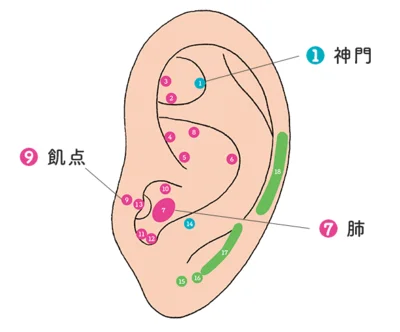 食欲を抑えるダイエットつぼ