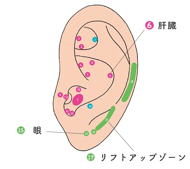 顔をキュッと引き締めるリフトアップつぼ