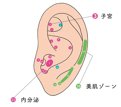 つやハリアップの美肌つぼ