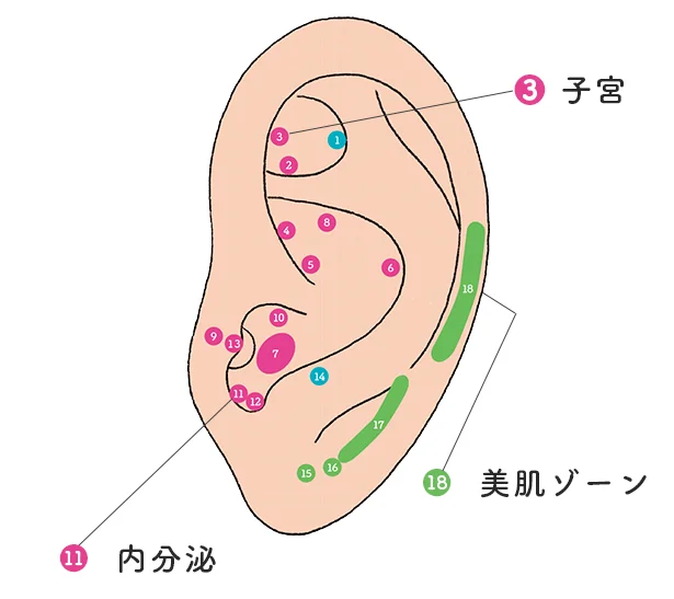 つやハリアップの美肌つぼ