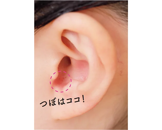 耳の穴の手前のくぼんだ部分にあるので、皮膚を傷つけないように注意。