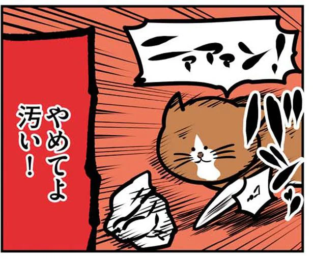 猫だから仕方ないけれど…