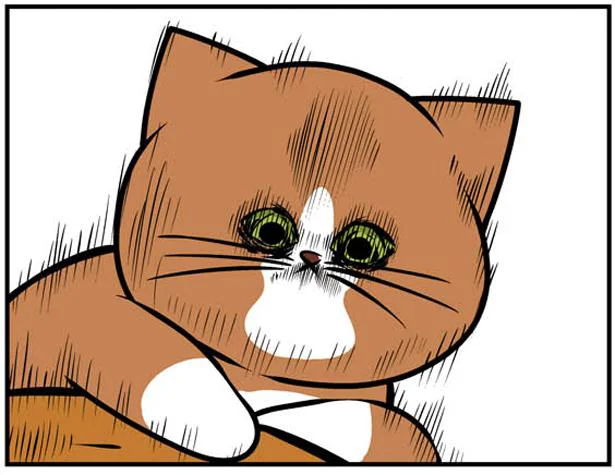 猫って驚いた顔するんだ　鴻池剛と猫のぽんた(7)