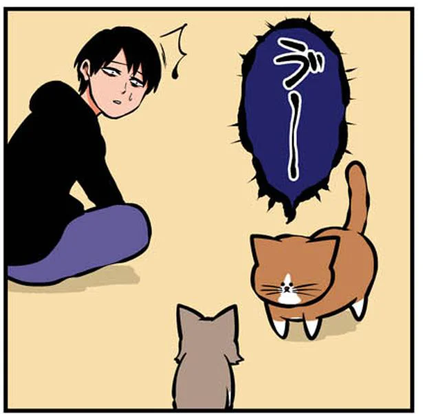 仲良いの 悪いの 鴻池剛と猫のぽんた 8 レタスクラブ 仲良いの 悪いの 鴻池剛と猫のぽんた 8 レタスクラブ