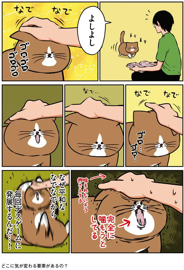 【画像を見る】鴻池剛と猫のぽんた ニャアアアン!