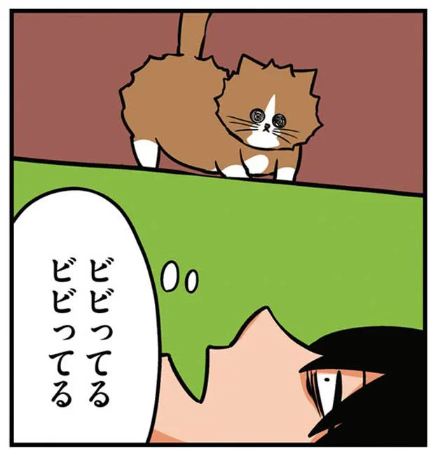 猫のひっかきにとことん痛がってみた