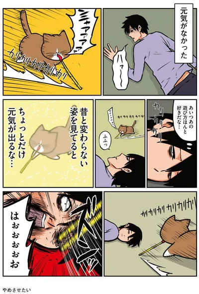 【画像を見る】鴻池剛と猫のぽんた ニャアアアン!