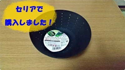【セリア】「絞れるシリコンザル」は目からうろこのザルでした！