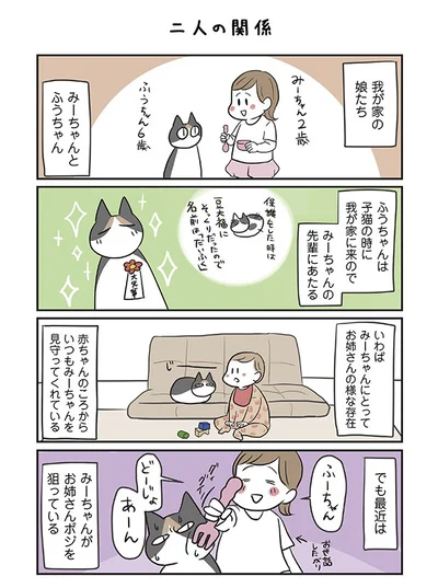 猫のふうちゃんと娘のみーちゃんはどんな関係？