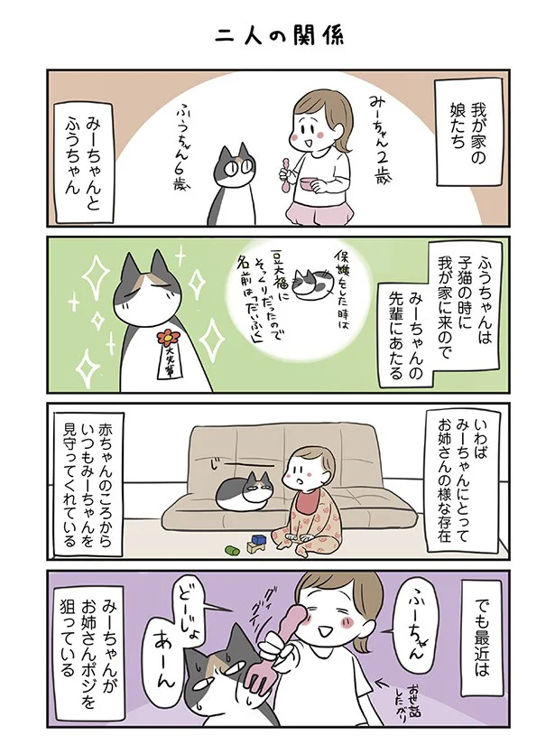 猫のふうちゃんと娘のみーちゃんはどんな関係？