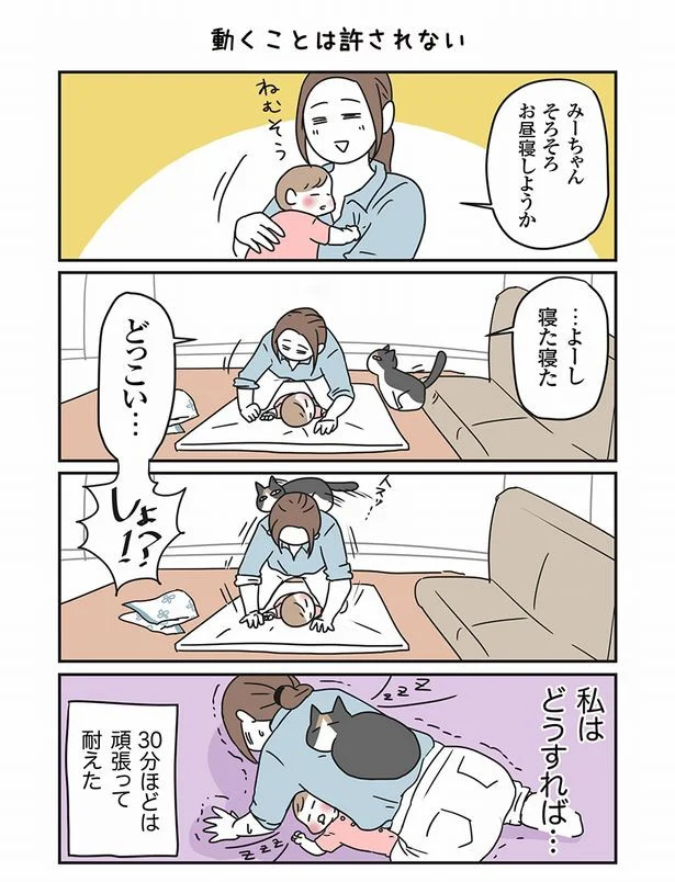 【続きを読む】