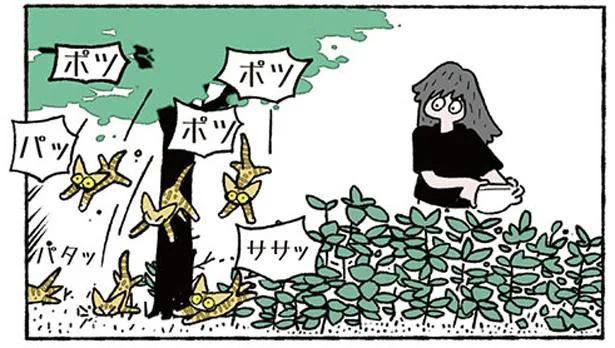 見分けがつかない激似の赤ちゃんねこたちは取扱注意！　ねこ8匹分の幸せと暮らしています。（2）