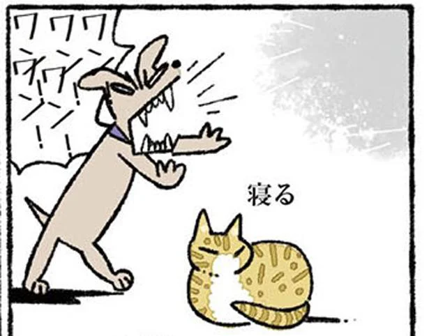 赤ちゃんねこたちのおもちゃは12歳の老犬　ねこ8匹分の幸せと暮らしています。（4）
