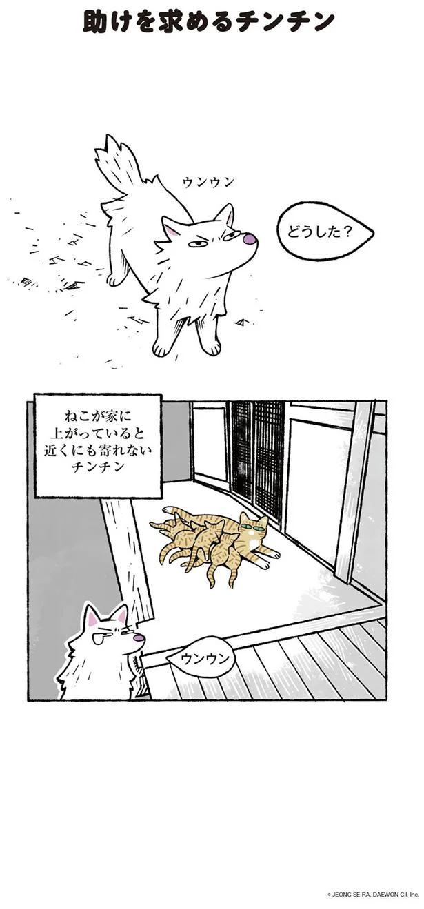 猫が家にいるから近寄れない…