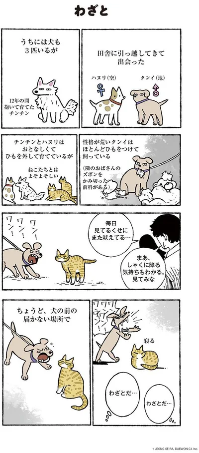 毎日吠えてる理由