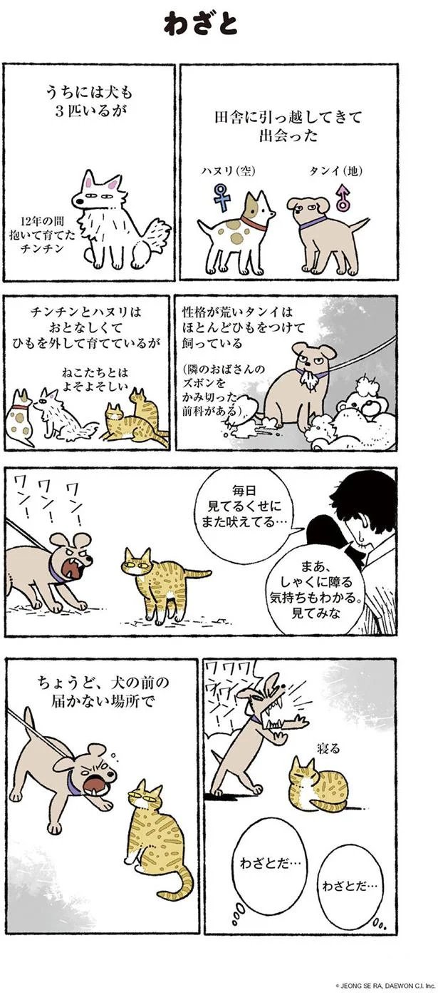 赤ちゃんねこたちのおもちゃは12歳の老犬 ねこ8匹分の幸せと暮らしています 4 画像5 6 レタスクラブ 赤ちゃんねこたちのおもちゃは12歳の老犬 ねこ8匹分の幸せと暮らしています 4 画像5 6 レタスクラブ