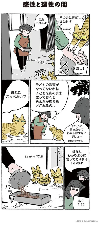 【画像を見る】ねこ８匹分の幸せと暮らしています。