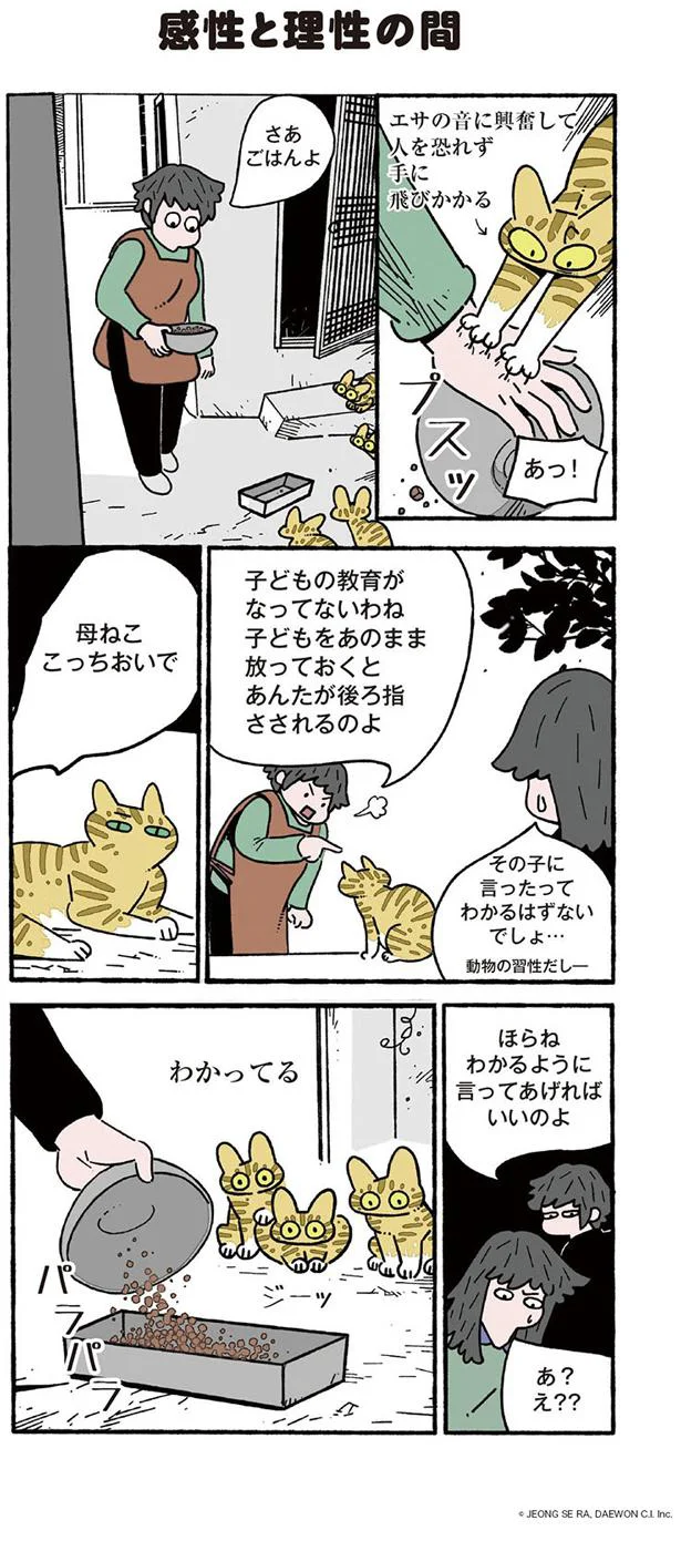 【画像を見る】ねこ８匹分の幸せと暮らしています。