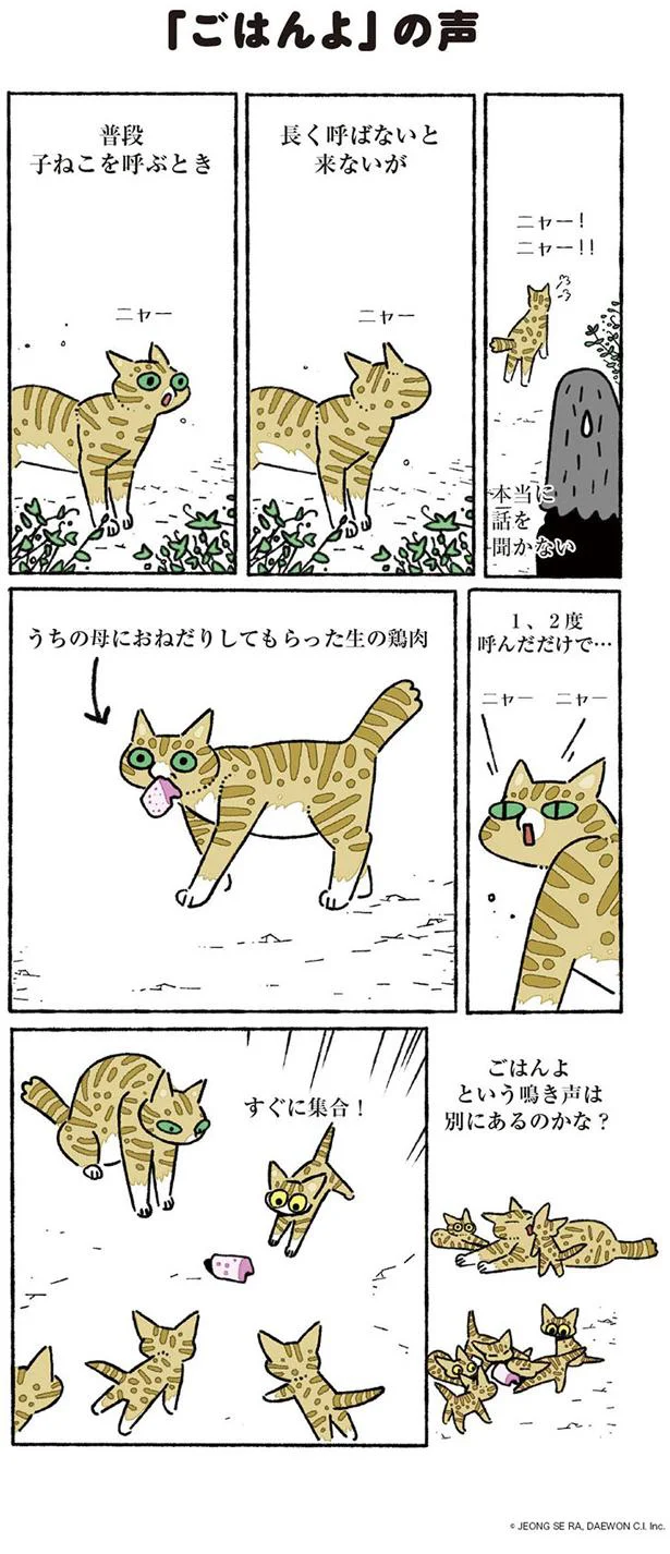 気ままな子ねこを集合させる「ごはんよ」の威力 ねこ8匹分の幸せと