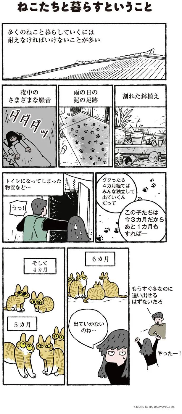 【画像を見る】ねこ８匹分の幸せと暮らしています。