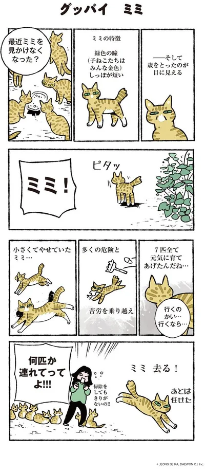 ミミ…何匹か連れてって！