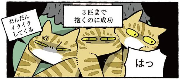 苦節6ヶ月、ついに子ねこを抱っこ！　ねこ8匹分の幸せと暮らしています。（8）
