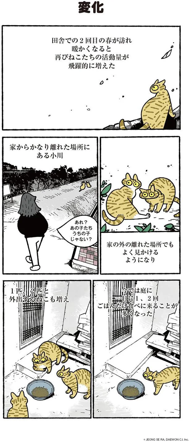 【画像を見る】ねこ８匹分の幸せと暮らしています。