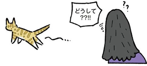 怒ったら負け、気まぐれねことの暮らし　ねこ8匹分の幸せと暮らしています。（10）