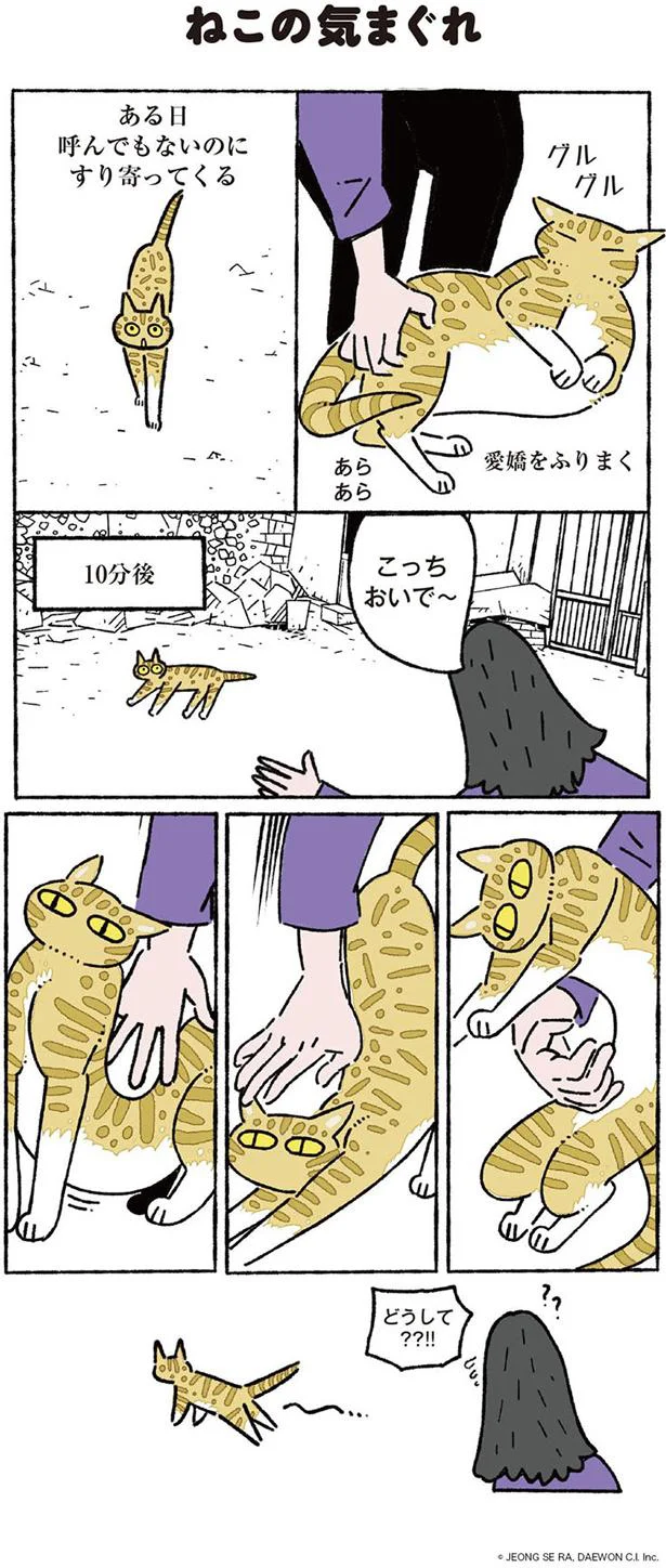 【画像を見る】ねこ８匹分の幸せと暮らしています。