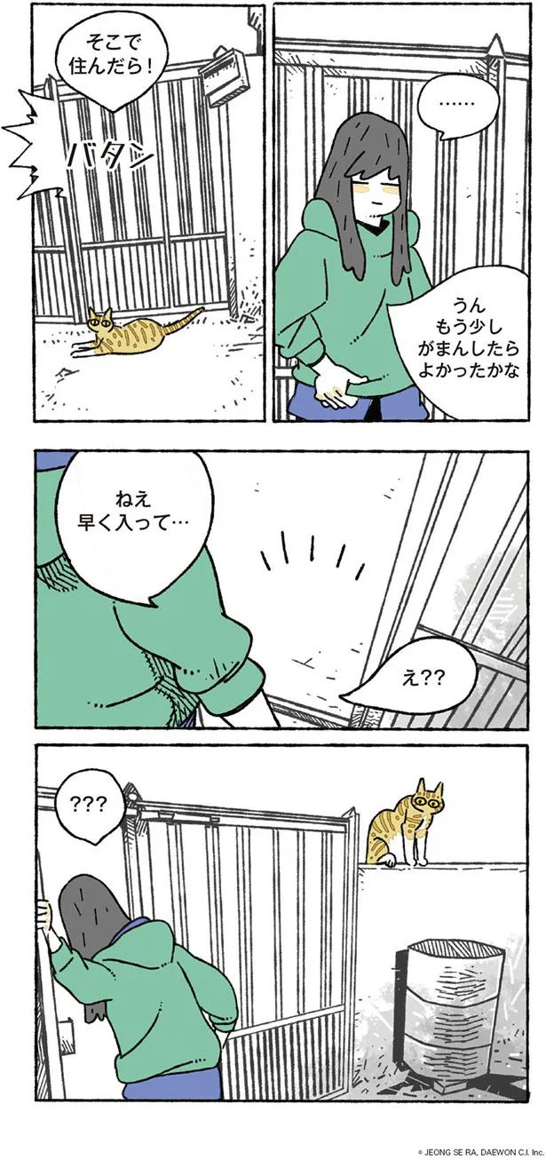 ねこはどこ？？？