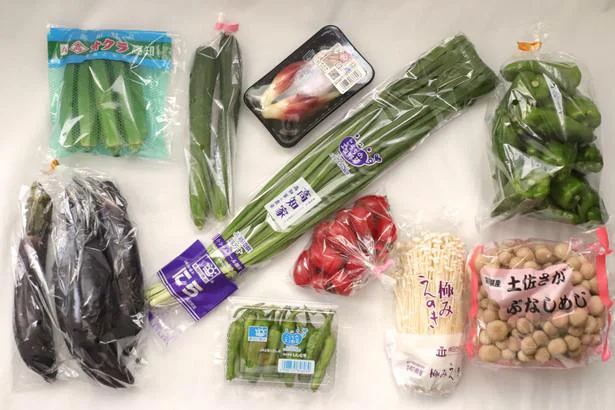 高知の野菜せっとトレトレ10点盛