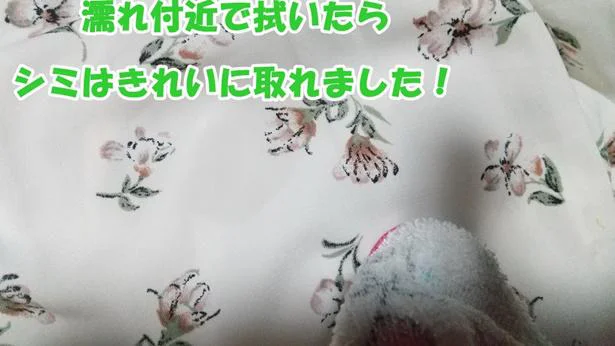 「シミとりマーカー」でミートソースがきれいにとれました!