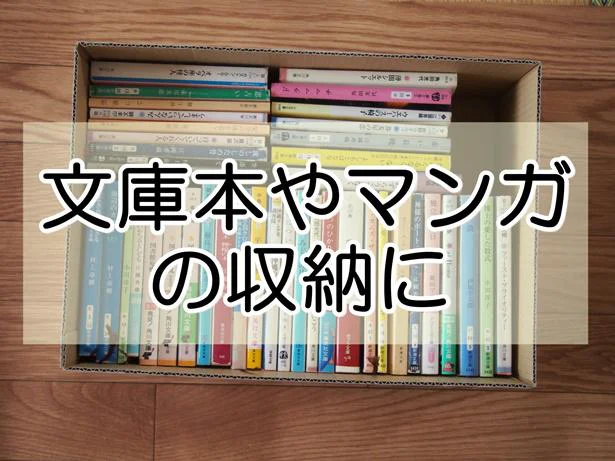 文庫本の収納に使ってみた