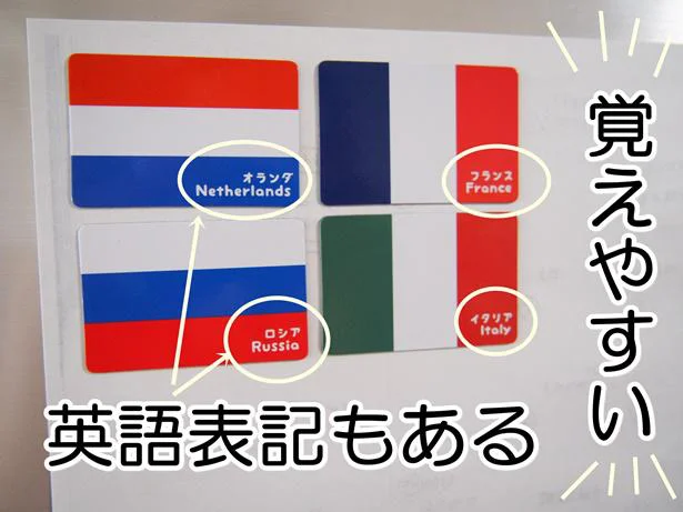 冷蔵庫にぺたり！毎日眺めていつの間にか勉強できちゃう