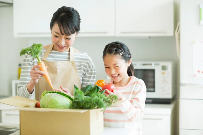 車で持ち帰ったボックスには新鮮な野菜がいっぱい