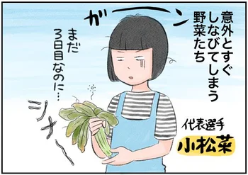 まとめ買いも怖くない！知らなきゃ損、やらなきゃ損の「野菜を長持ちさせる保存テク」