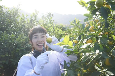 瀬戸内はレモン生産量日本一！