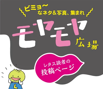 ビミョ〜なネタ＆写真、集まれ！！レタス読者の投稿ページ「モヤモヤ広場」