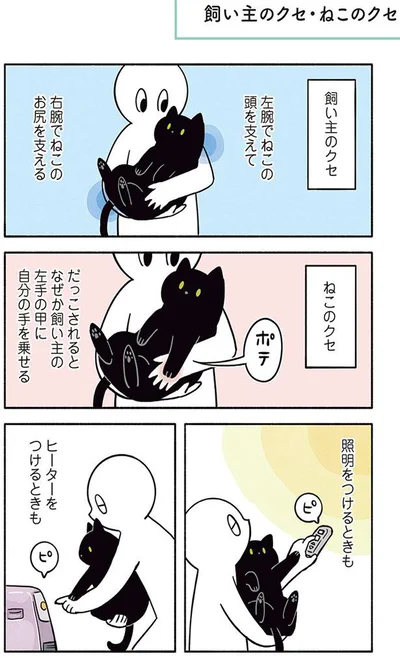 【画像を見る】「黒猫ろんと暮らしたら2」