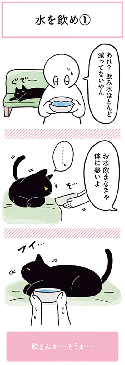 【画像を見る】「黒猫ろんと暮らしたら2」