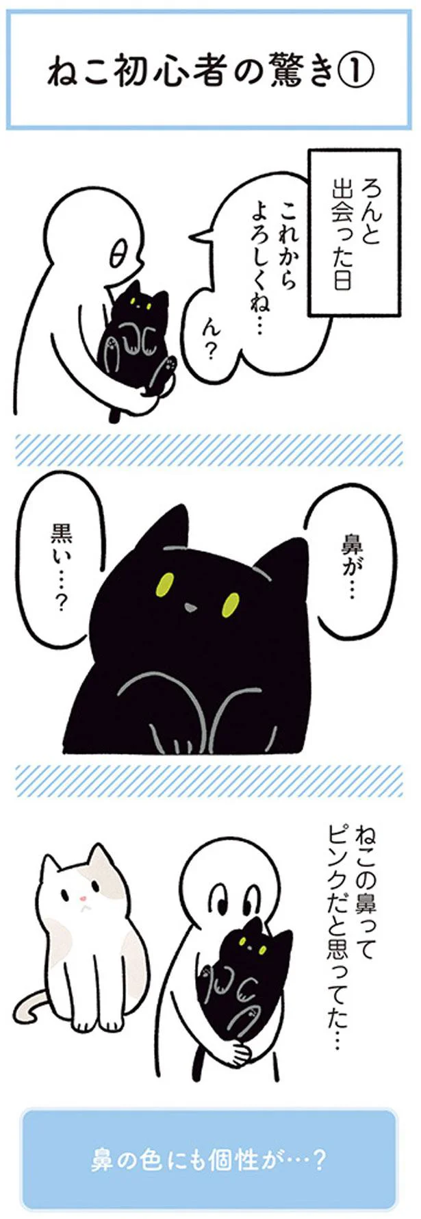 【画像を見る】「黒猫ろんと暮らしたら2」