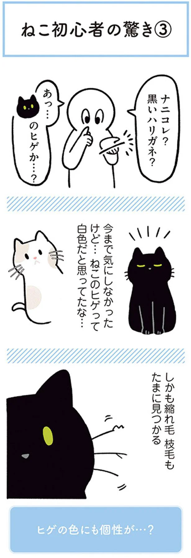 驚きと優しさ 黒猫ろんと暮らしたら2 8 画像5 10 レタスクラブ 驚きと優しさ 黒猫ろんと暮らしたら2 8 画像5 10 レタスクラブ