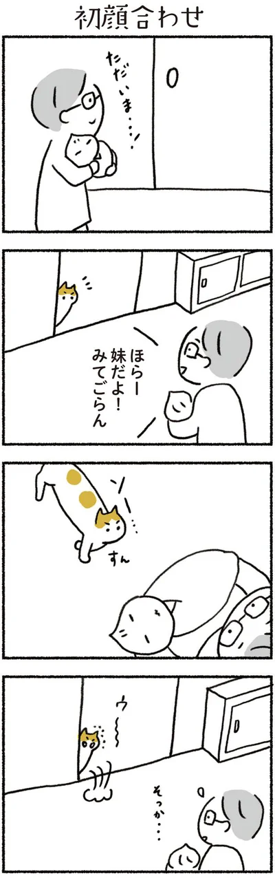 「ねこと赤ちゃん」