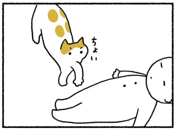 歩み寄りはちょっとずつ ねこと赤ちゃん 6 レタスクラブ